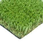 Fern Green Grass